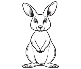  Cartoon kangaroo illustration vector