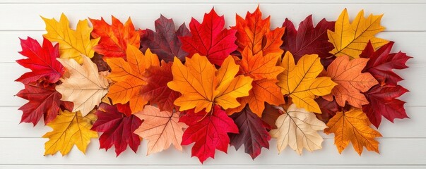 Fototapeta premium Autumn leaf mandala with overlapping patterns of oak, maple, and birch leaves in warm fall colors like red, orange, and yellow