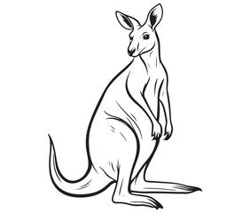  Cartoon kangaroo illustration vector