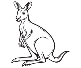  Cartoon kangaroo illustration vector