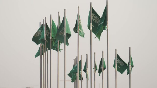 Plenty of National flags of Saudi Arabia 