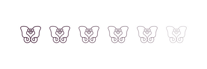 pelvis outline icon. Linear vector from medical concept. 6 different line style pelvis icon included thin, light, regular, medium, bold, black