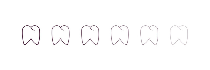 molar outline icon. Linear vector from medical concept. 6 different line style molar icon included thin, light, regular, medium, bold, black
