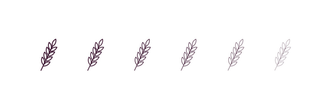 grains outline icon. Linear vector from nature concept. 6 different line style grains icon included thin, light, regular, medium, bold, black
