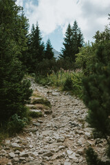 Obraz premium trail in the mountains