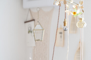 花瓶に飾った小さなジニアという花