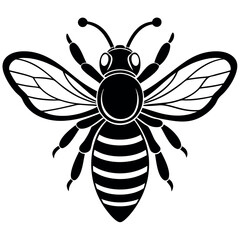 Asian giant hornet bee vector illustration.