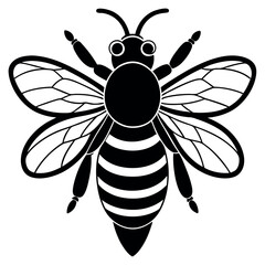 Asian giant hornet bee vector illustration.