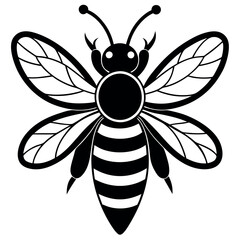 Asian giant hornet bee vector illustration.