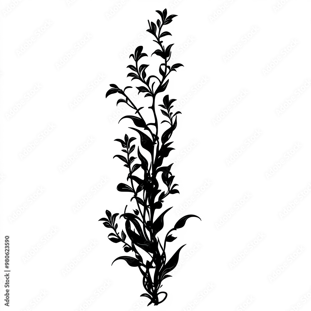 Sticker kelp silhouette, illustration isolated on white background