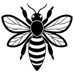 Asian giant hornet bee vector illustration.