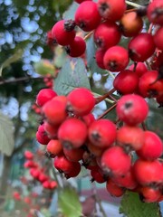kreatywe zdjęcia zrobione rzez kamerę w jakości 4k .