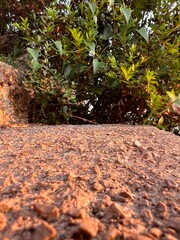 lato podruże po krajach , europa nocą i dniem nad morzem i w środku miasta .