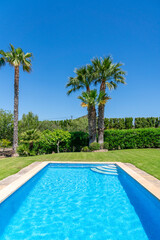 Schwimmbecken in einem Garten mit grüner Wieder und Palmen im Hintergrund im Sommerurlaub 