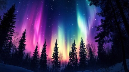 Fototapeta premium A striking view of the Aurora Borealis above a snowy forest, with trees silhouetted against the colorful lights in the night sky.