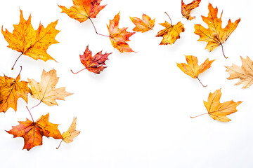 Fototapeta premium Autumn maple leaves falling isolated on white background 