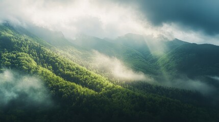 Obraz premium Low-lying clouds gently covering a forested mountain range, with patches of sunlight breaking through.