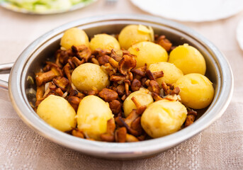 Delicious forest mushrooms chanterelles with young potatoes fried in frying pan