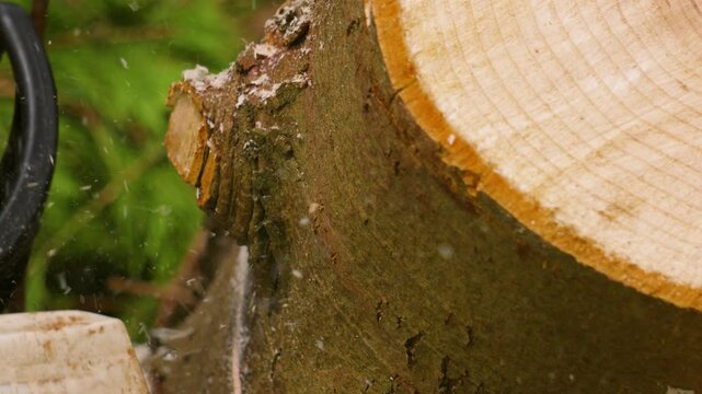 Slow Motion View of Forest Worker Using Chainsaw to Cut Log with Wood Chippings Flying Towards Camera 4K