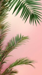 Naklejka premium Palm coconut green leaf organic nature environment on pink story background