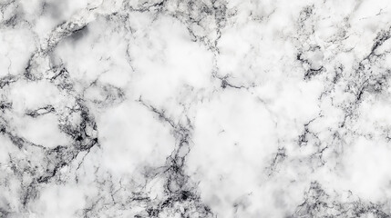 Fototapeta premium Background with Delicate Grey Veins and Polished Surface Elegant White Marble Texture 