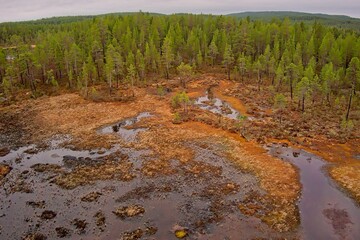 Aerial view of bog view at Ovre Pasvik National Park on a cloudy spring day, Norway.