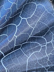 Abstract burn pattern from dustbin lid