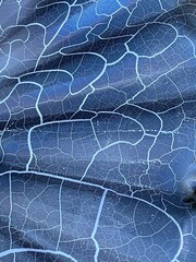 Abstract burn pattern from dustbin lid