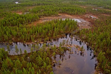 Aerial view of river at Ovre Pasvik National Park with tree reflections on surface on a cloudy spring day, Norway.