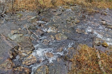 Small stream view at Ovre Pasvik National Park on a cloudy spring day, Norway.