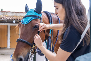 Obraz premium Woman adjusting bridle on horse with fly mask