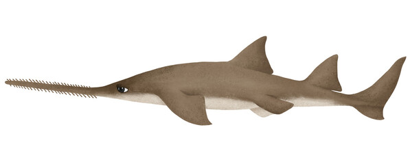 Cute sawfish png sticker, animal illustration, transparent background