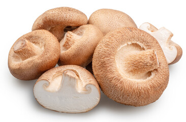 Shiitake - edible asian mushrooms and cuts of shitakes isolated on white background. File contains clipping path.