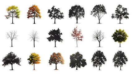 Fototapeta premium various deciduous trees silhouettes on the white background