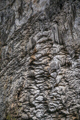 Stalactite wall in the cave of arta, mallorca, high wall with lots of stalactite rock formation, majorca spain