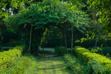 Silent place gives cheerfulness to human mind.Everyone wants to travel to silent place,the place is located in Bangladesh.