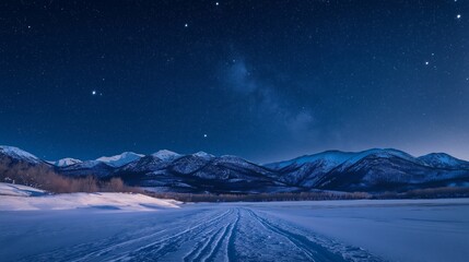 Snowy Path Under Starry Night Sky