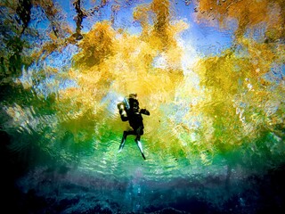 Local scuba diver swims through the clear aqua waters of tree-ringed Peacock Springs State Park,...