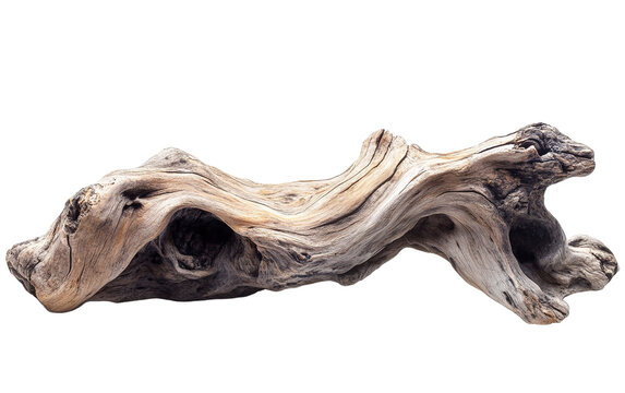 Driftwood log isolated on white or transparent background