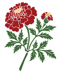 A vibrant red marigold with green leaves, a beautiful vector floral illustration.