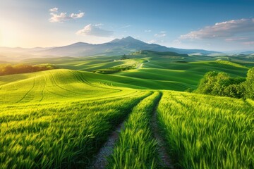 Obraz premium Tranquil spring landscape with country road for travel exploration.