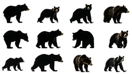 various bear silhouettes on the white background
