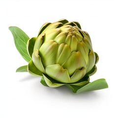 Obraz premium Artichoke isolated on white background.