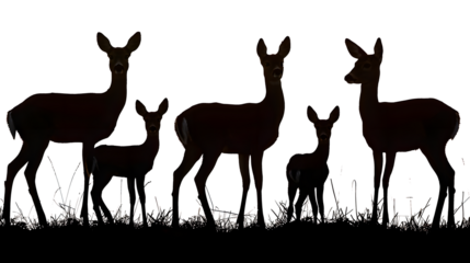 roe deer silhouettes