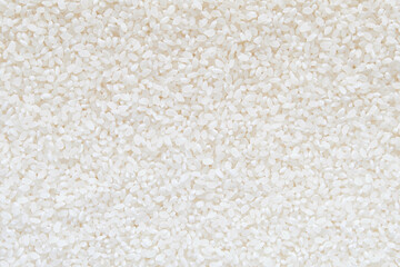 Short Grain Rice Texture Background