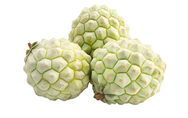 Fototapeta premium Fresh Custard Apple isolated on white or transparent background