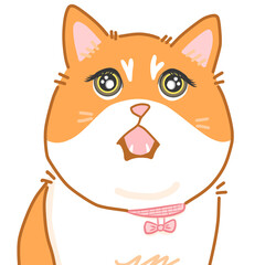 Sophie cat so cute 02