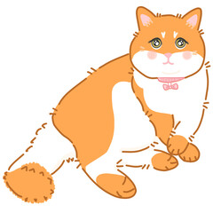 Sophie cat so cute 01