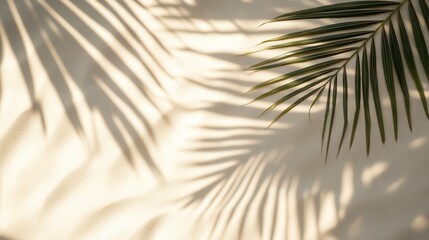 Obraz premium Vibrant Summer Beach Fashion Background Featuring Tropical Elements for Promotions