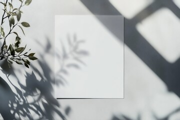 A minimalist setup featuring a blank white sheet on a textured surface, with soft shadows of leaves and light creating a delicate and artistic composition
